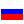 ru language flag